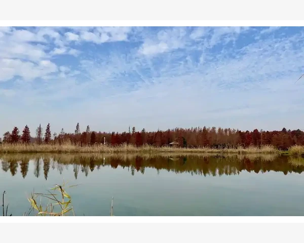 气血不足，尝试鹿茸与虫草的中医调理之道